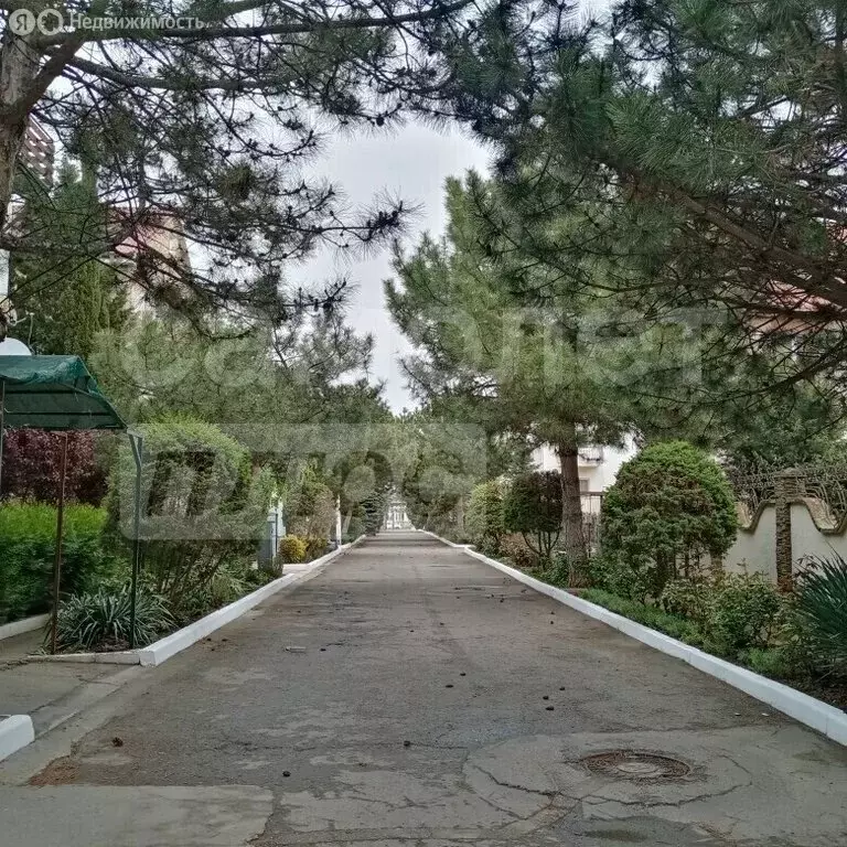Квартира-студия: Николаевка, Чудесная улица, 2/6 (15.5 м) - Фото 2