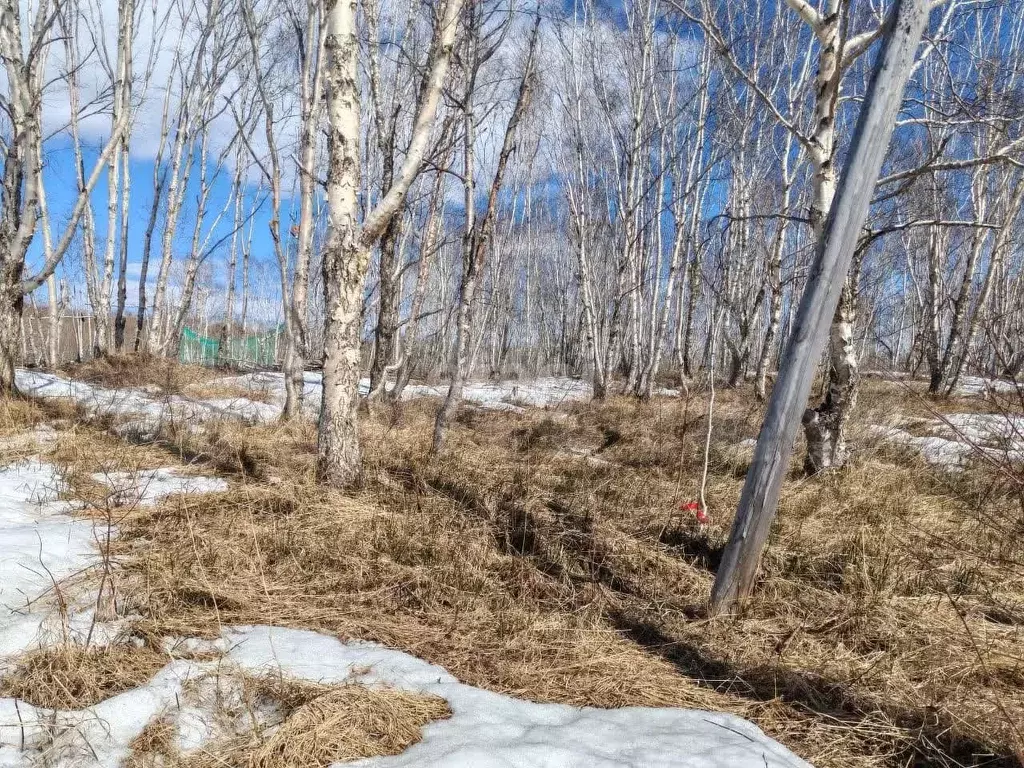 Участок 15 сот. (ИЖС) - Фото 1