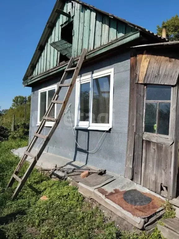Дом в Амурская область, Ивановский муниципальный округ, с. Среднебелая ... - Фото 1