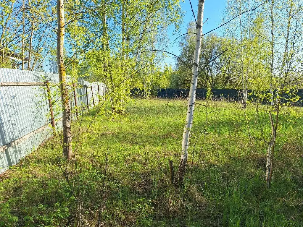 Продается участок в СНТ Клен-1 - Фото 1