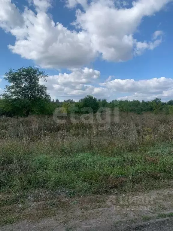 Участок в Ульяновская область, Тереньгульский район, Подкуровское ... - Фото 2