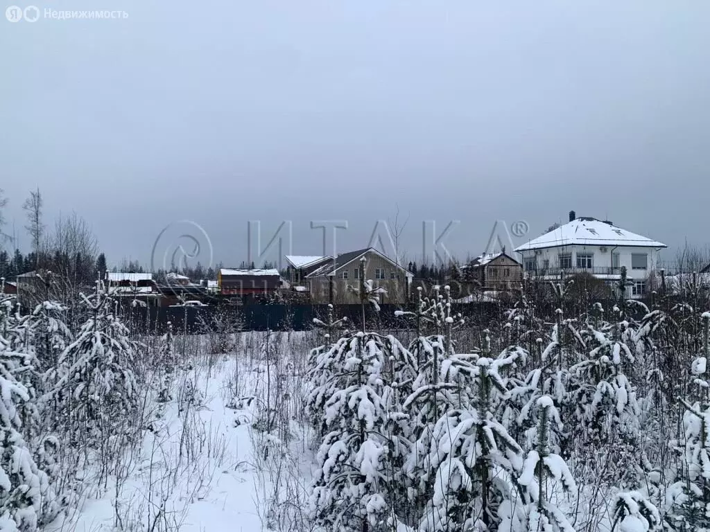 Участок в Сертолово, микрорайон Сертолово-2, Владимирская улица (10 м) - Фото 1