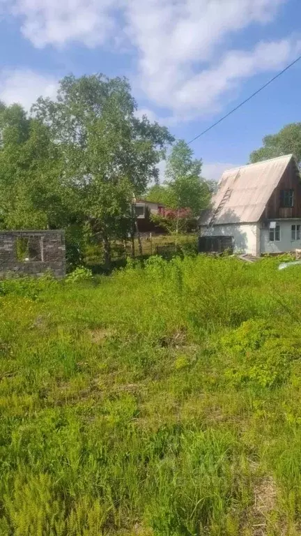 Участок в Камчатский край, Елизово ул. Беринга, 10 (5.56 сот.) - Фото 1