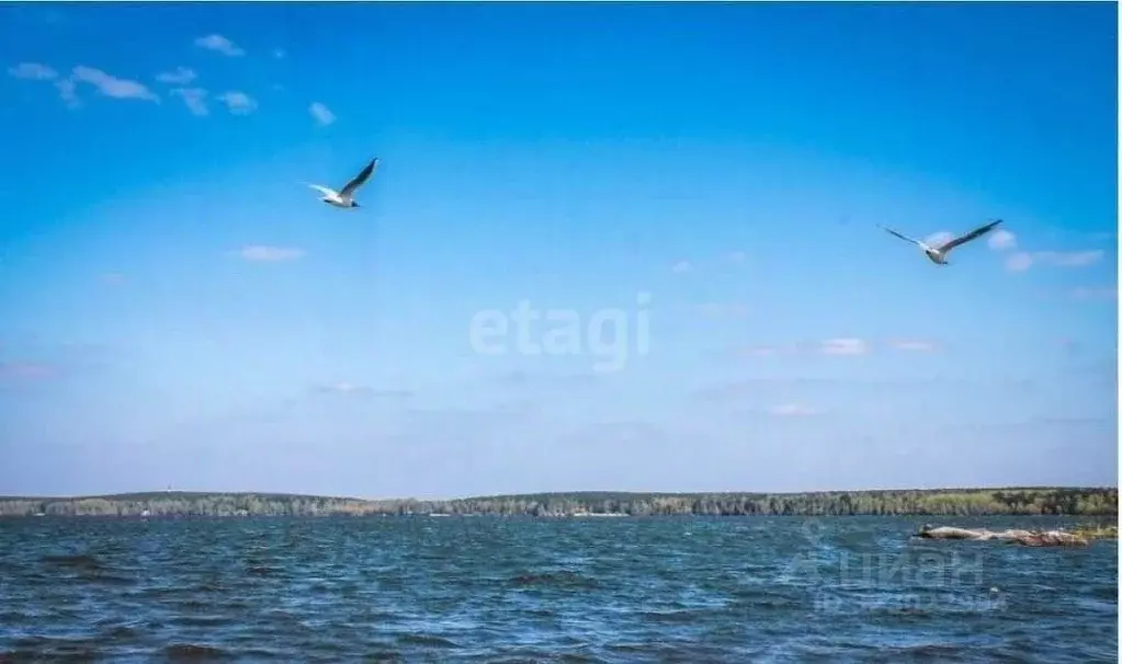 Участок в Свердловская область, Екатеринбург ул. Изоплитная, 21к4 ... - Фото 1