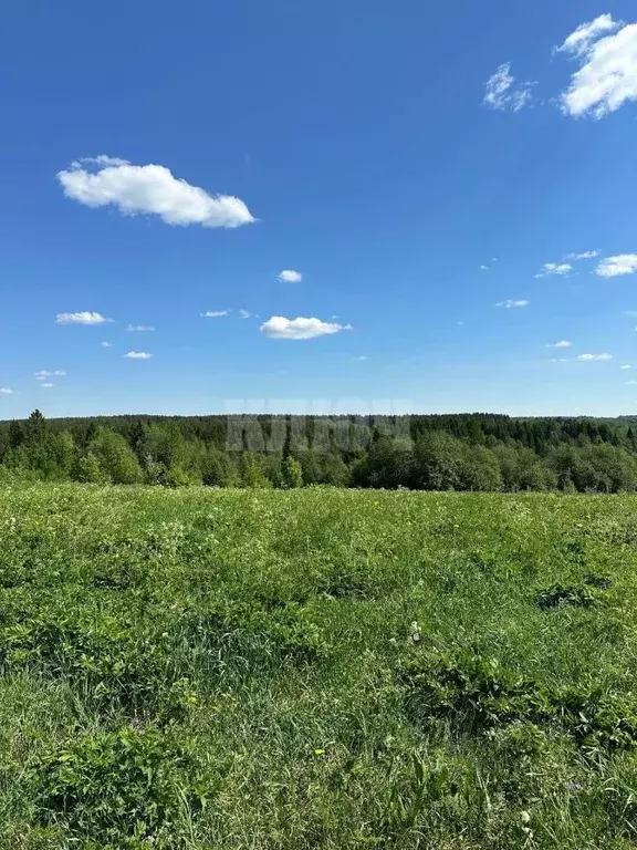 Участок в Вологодская область, Харовский муниципальный округ, д. ... - Фото 0