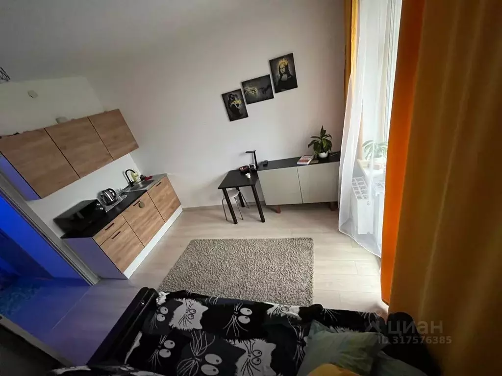 Студия Санкт-Петербург аллея Арцеуловская, 9 (23.0 м) - Фото 1