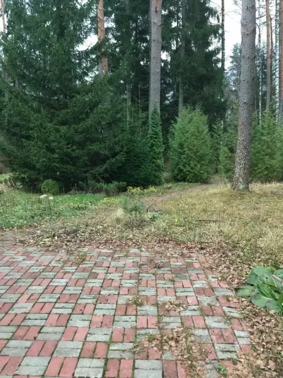 Коттедж в Ленинградская область, Выборгский район, Рощинское городское ... - Фото 1