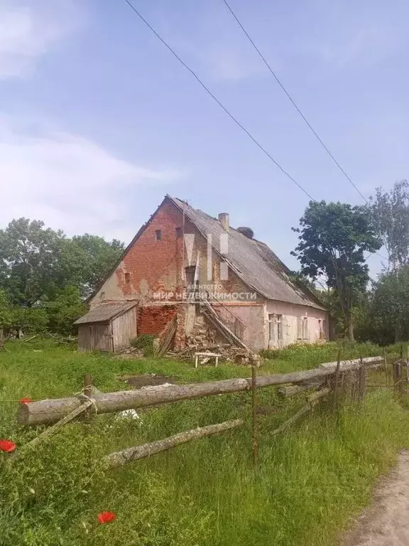 Дом в Калининградская область, Краснознаменский муниципальный округ, ... - Фото 1