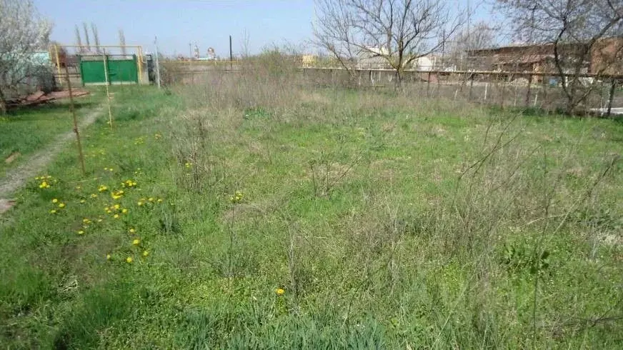 Участок в Ростовская область, Азовский район, Елизаветинское с/пос, ... - Фото 2