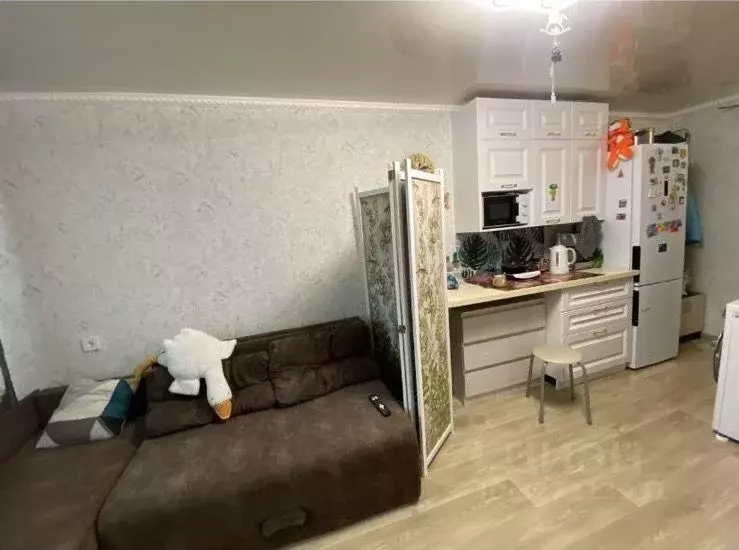 Студия Краснодарский край, Сочи Донская ул., 17 (18.0 м) - Фото 1