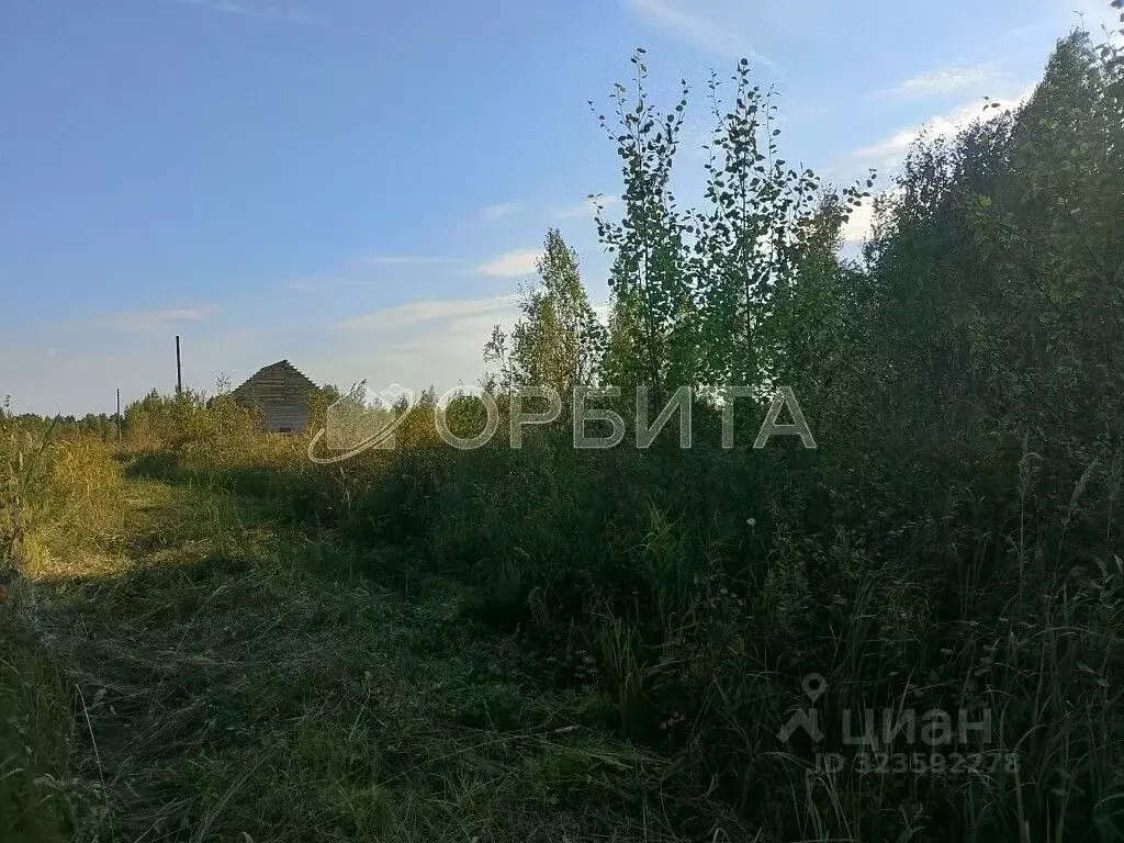 Участок в Тюменская область, Нижнетавдинский муниципальный округ, ... - Фото 1