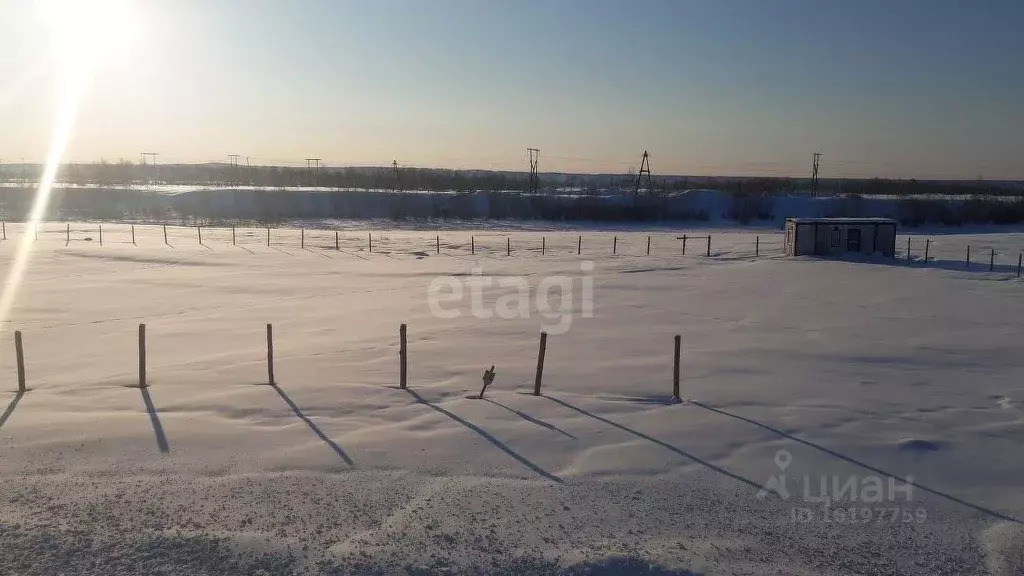 Участок в Саха (Якутия), Якутск Намский тракт 17-й километр тер.,  ... - Фото 1