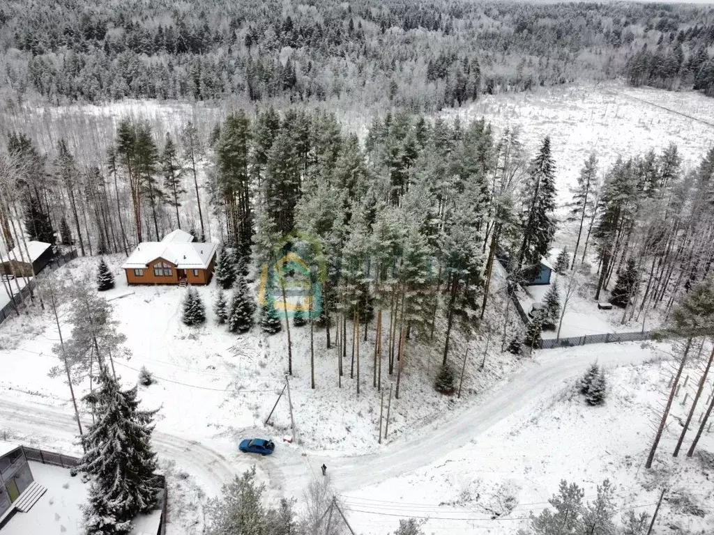 Участок в Ленинградская область, Всеволожский район, Куйвозовское ... - Фото 1