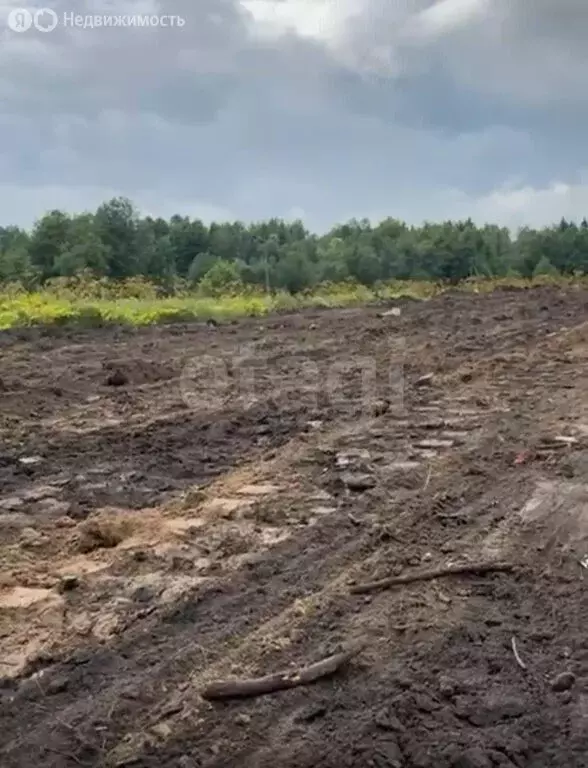 Участок в Костромская область, Судиславское сельское поселение, ... - Фото 0