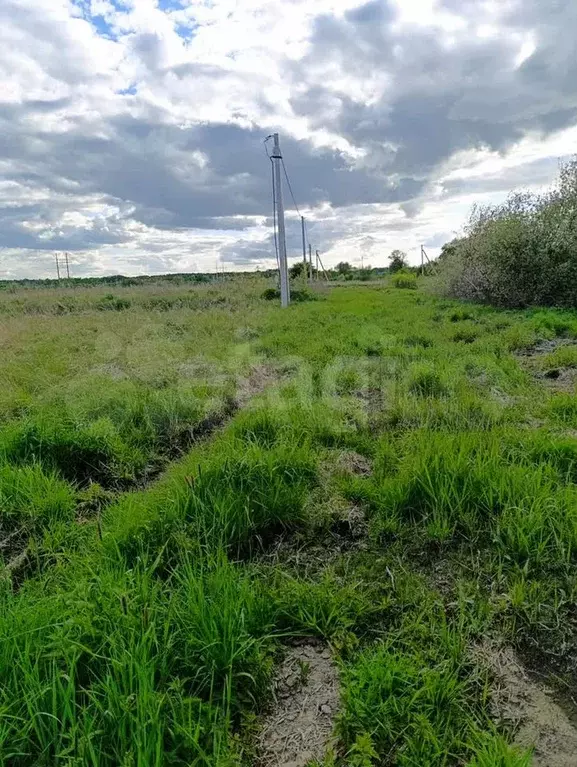 Участок 5,2 сот. (ИЖС) - Фото 1