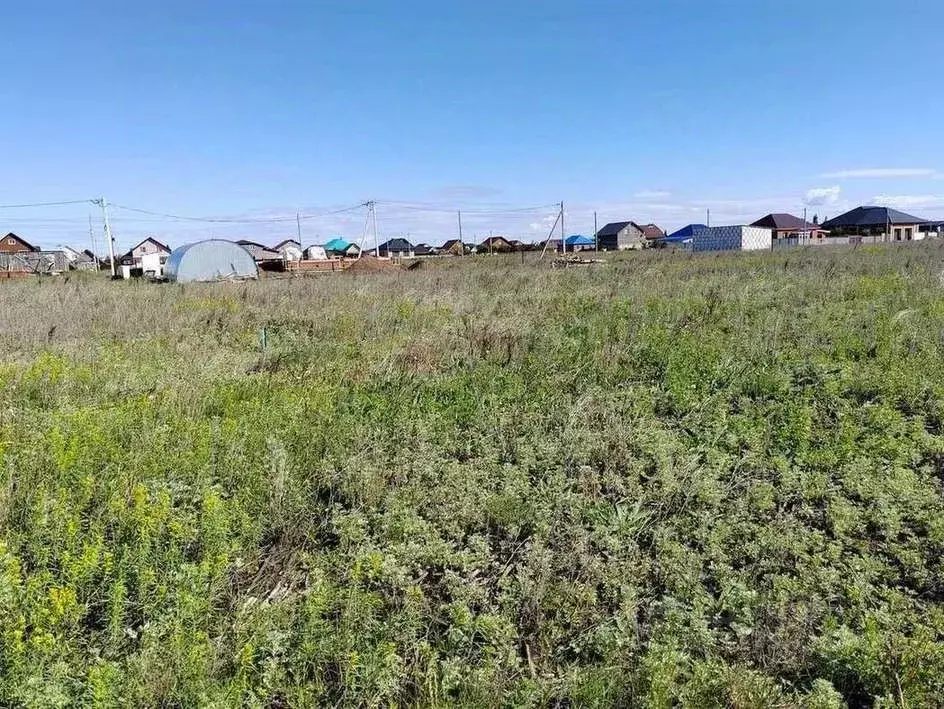 Участок в Оренбургская область, Бузулукский район, Палимовский ... - Фото 2