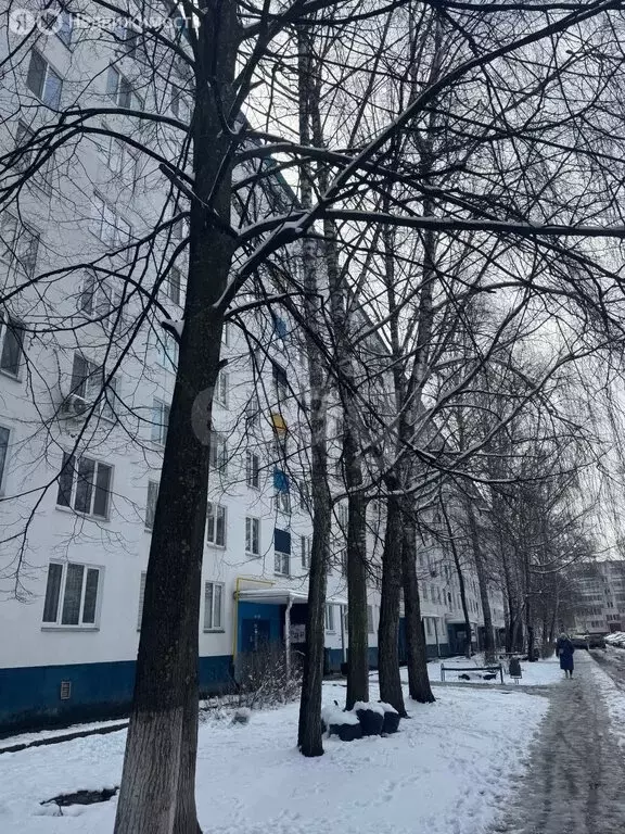 2-комнатная квартира: Набережные Челны, 29-й комплекс, 15 (44.1 м) - Фото 1