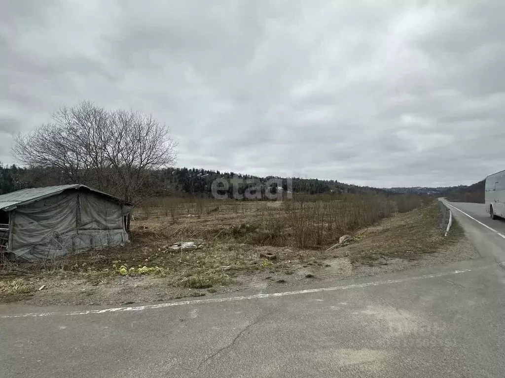 Участок в Сахалинская область, Анивский городской округ, с. Огоньки  ... - Фото 1