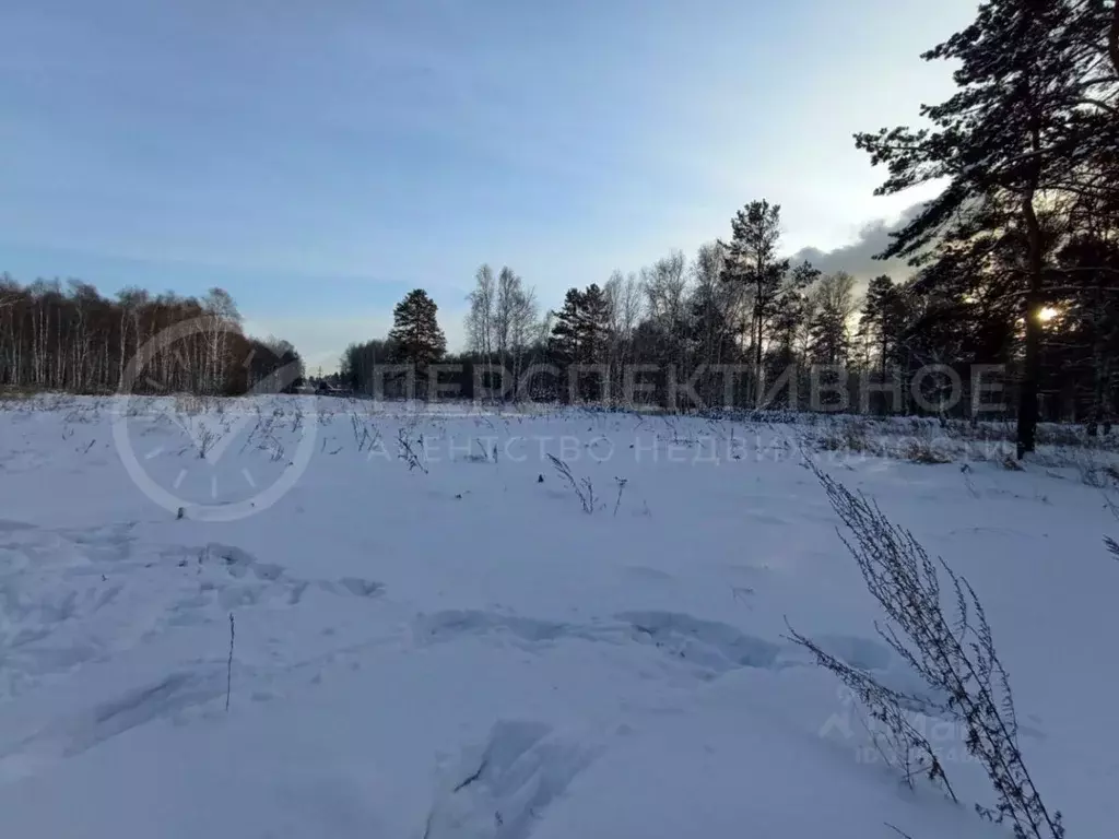 Участок в Иркутская область, Ангарск Второй промышленный массив, 35-й . - Фото 1