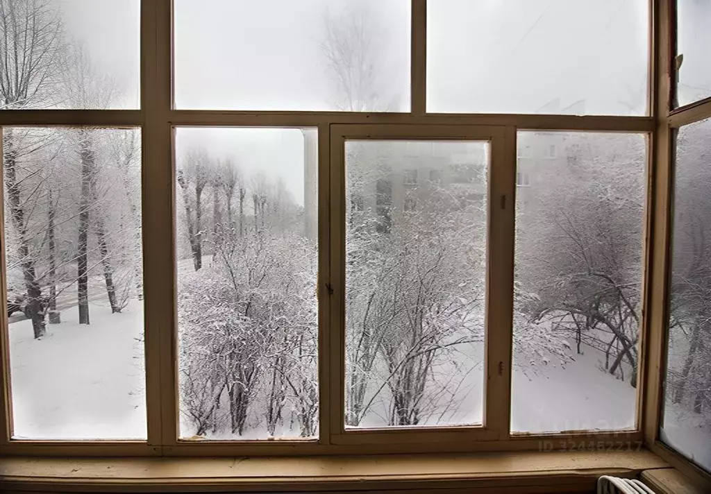 Студия Томская область, Северск Северная ул., 10 (36.7 м) - Фото 1