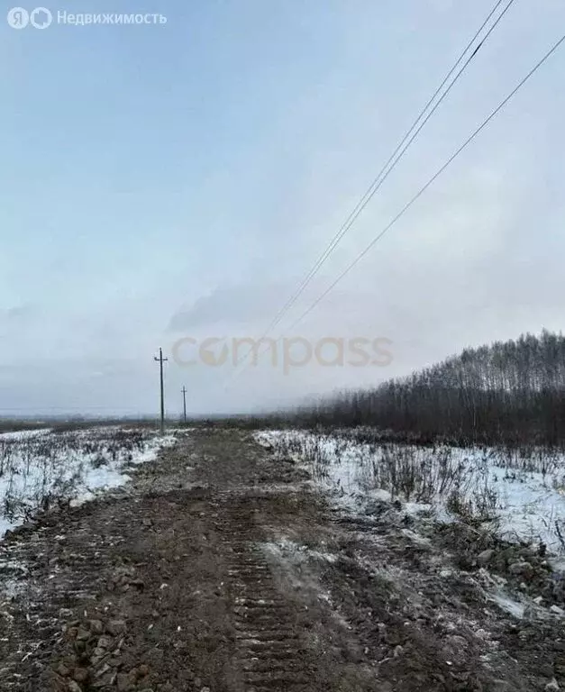 Участок в Тюменский район, село Горьковка (7.6 м) - Фото 1