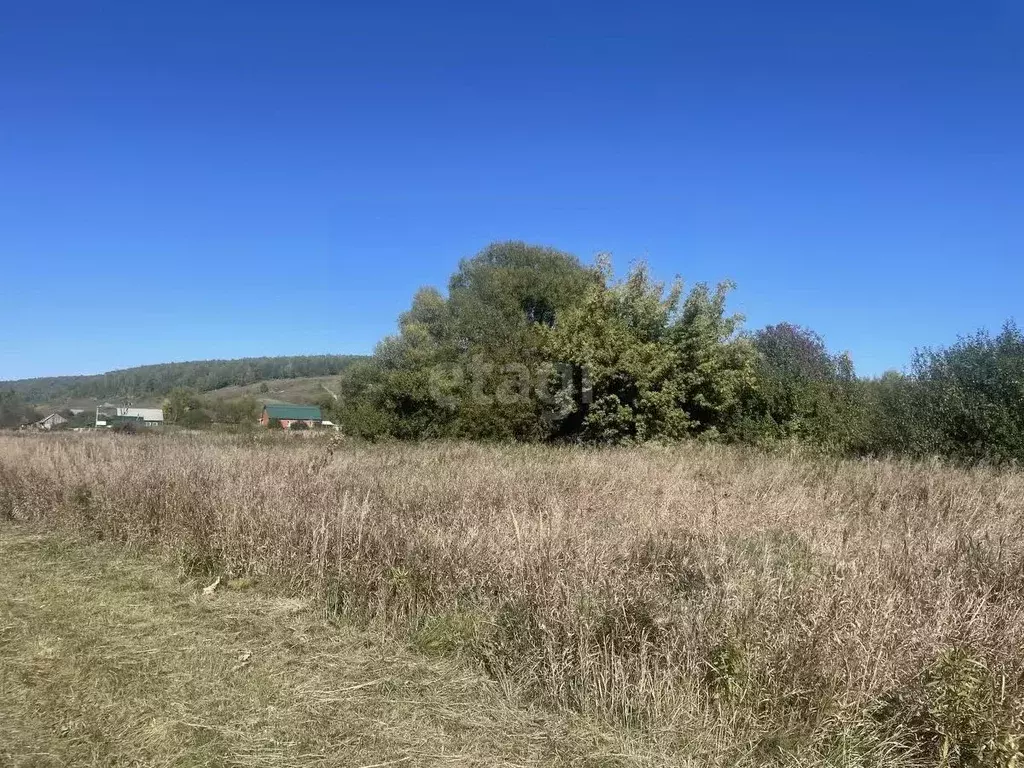 Участок в Мордовия, Кочкуровский район, с. Подлесная Тавла  (26.6 ... - Фото 0