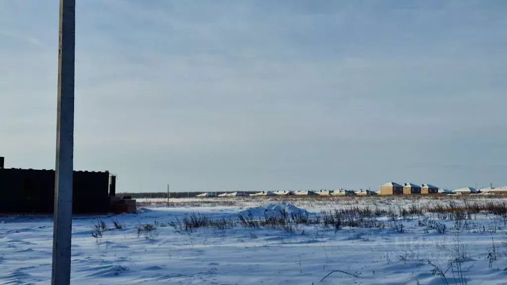 Участок в Татарстан, Лаишевский район, с. Сокуры, Новые Сокуры- 3 кп  ... - Фото 2