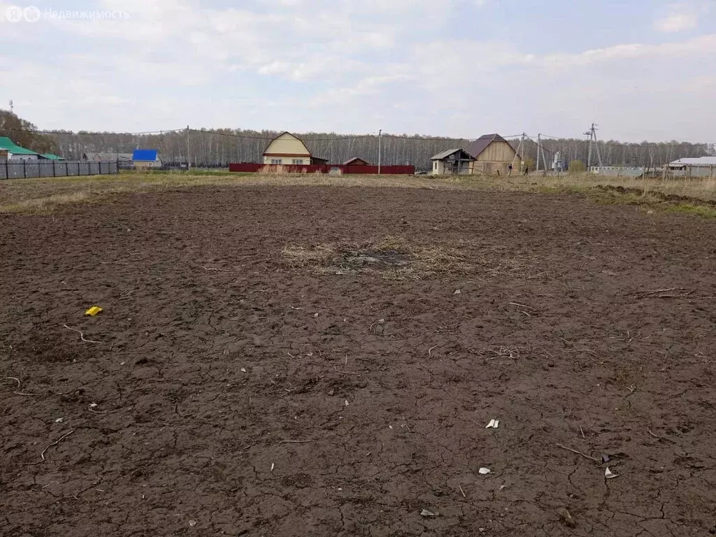 Участок в Тюменская область, Ялуторовский муниципальный округ, село ... - Фото 2