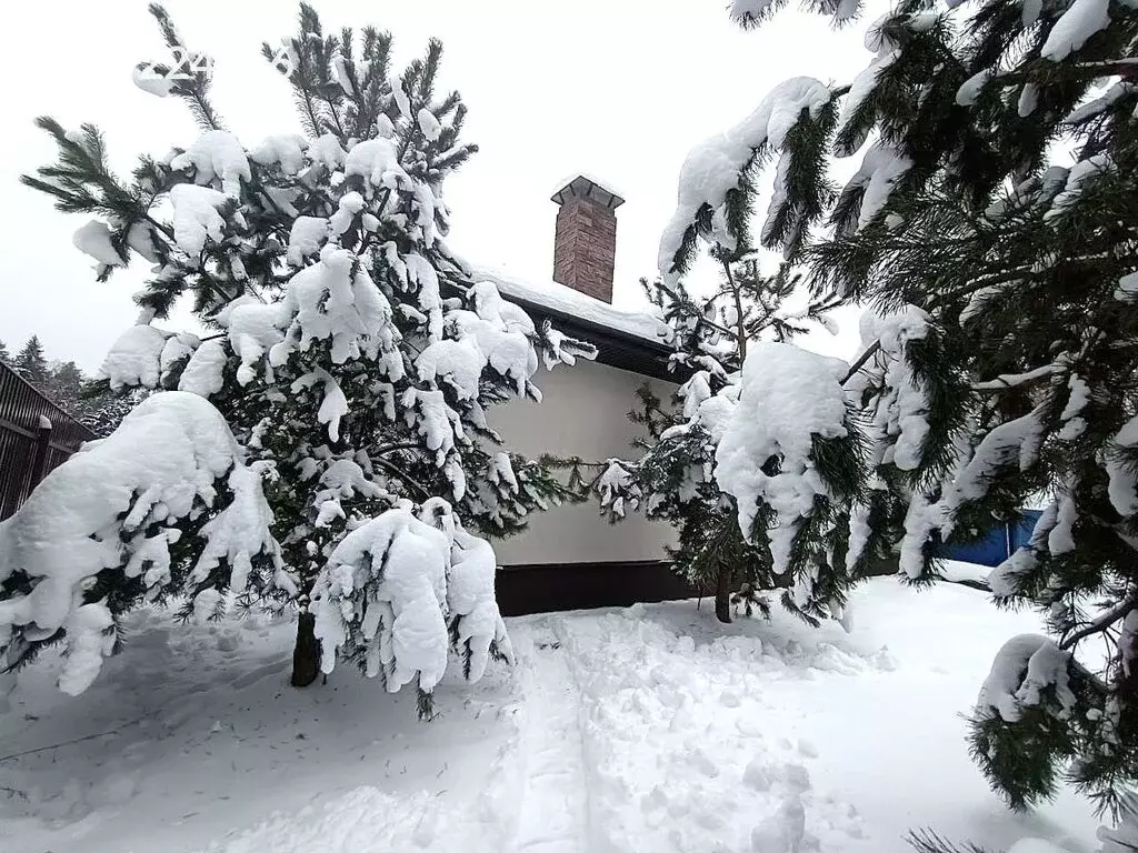 Дом в деревня Кабаново, Лазурная улица, 12Б (186 м) - Фото 1