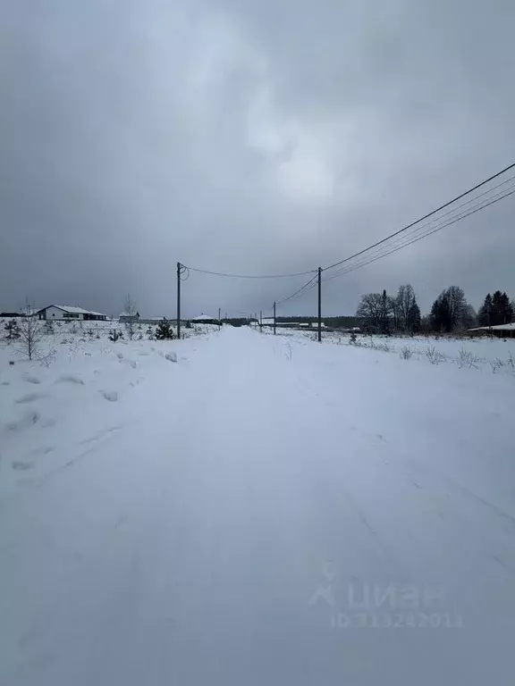 Участок в Удмуртия, Каракулинский район, с. Чеганда Заринская ул., 33 ... - Фото 0