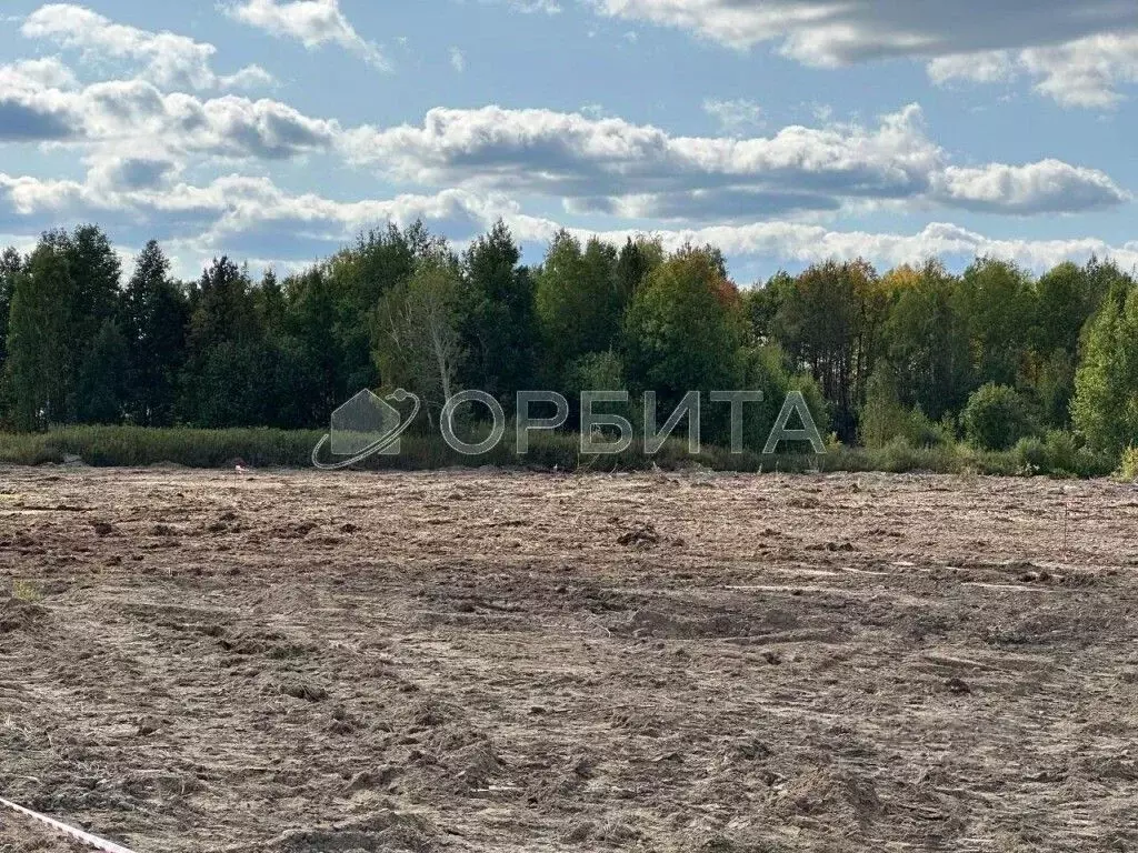 Участок в Тюменская область, Нижнетавдинский район, с. Тюнево  (10.0 ... - Фото 0