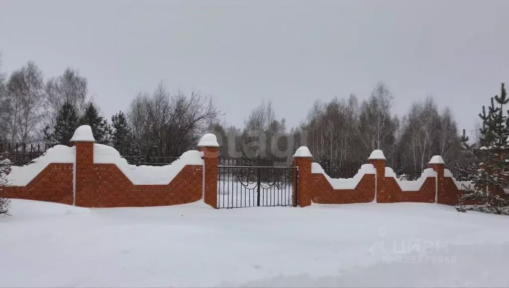 Участок в Алтайский край, Барнаул городской округ, пос. Бельмесево ул. ... - Фото 2