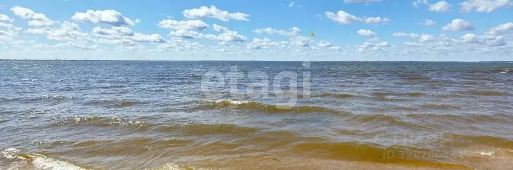 Участок в Нижегородская область, Городецкий муниципальный округ, ... - Фото 2