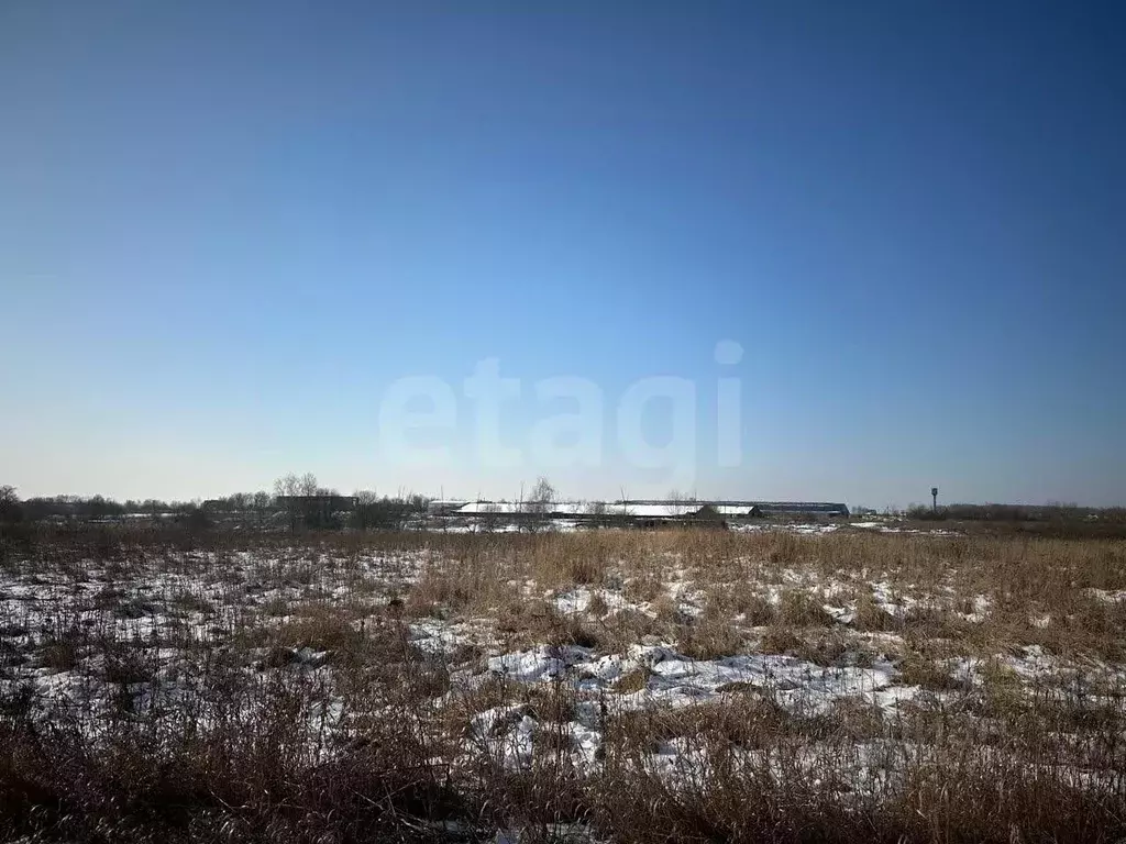 Участок в Тульская область, Заокский район, Демидовское с/пос, с. ... - Фото 2