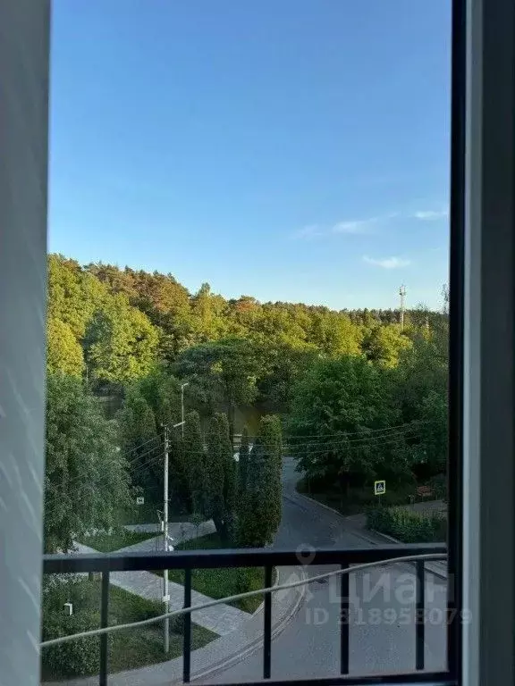 1-к кв. Калининградская область, Светлогорск ул. Гагарина, 1 (37.0 м) - Фото 2