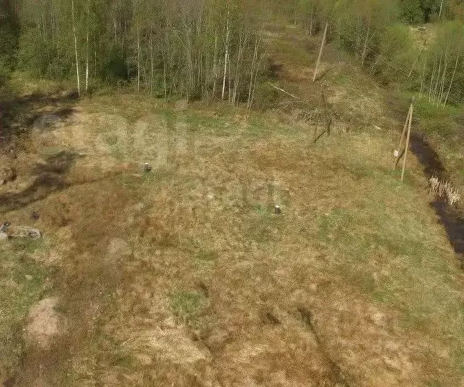 Участок в Ленинградская область, Ломоносовский район, Виллозское ... - Фото 1