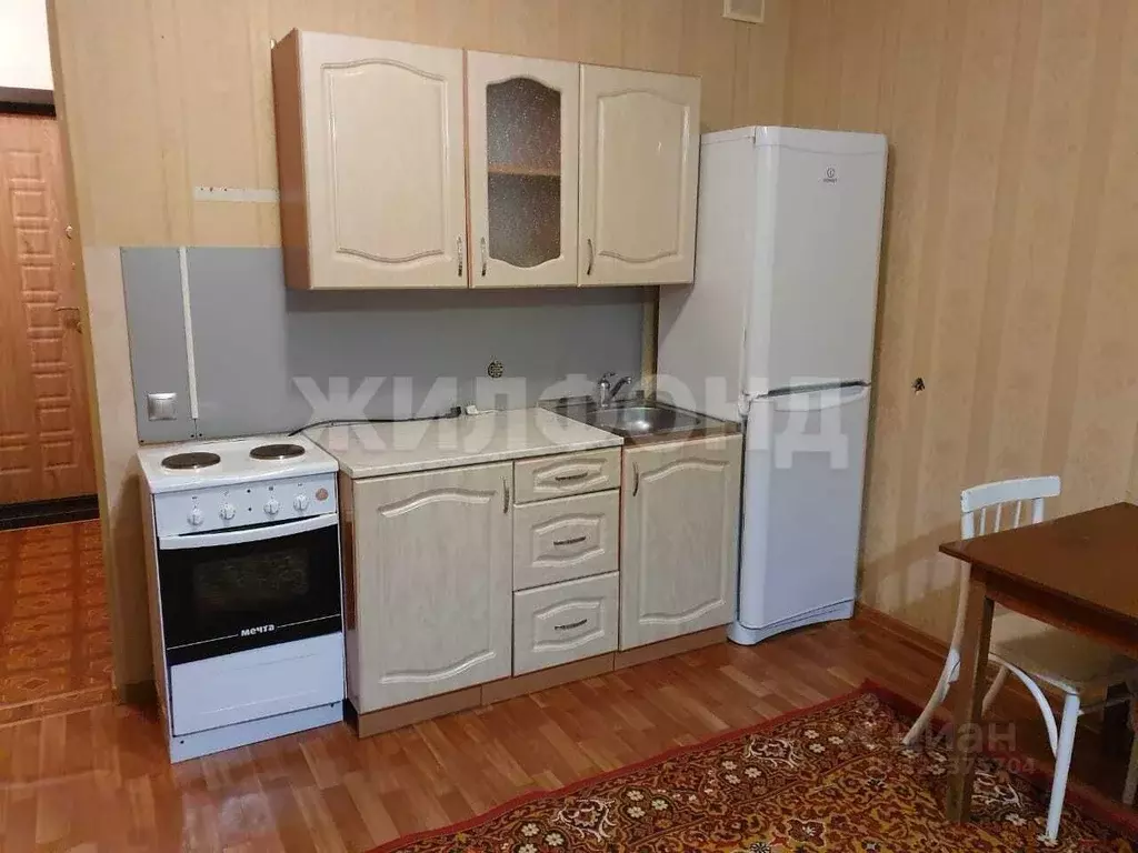 Студия Новосибирская область, Новосибирск Рябиновая ул., 10/1 (26.0 м) - Фото 1