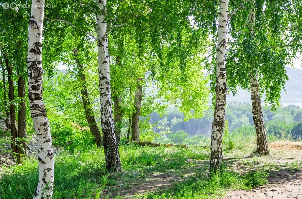 Участок в Тульская область, городской округ Тула, село Частое, Тёплая ... - Фото 2