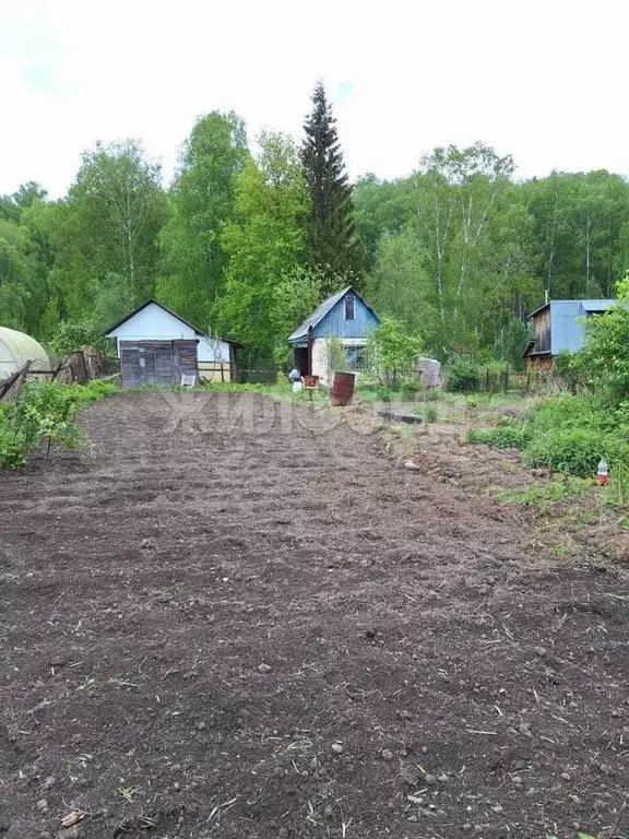 Дача 10 м на участке 4,2 сот. - Фото 0