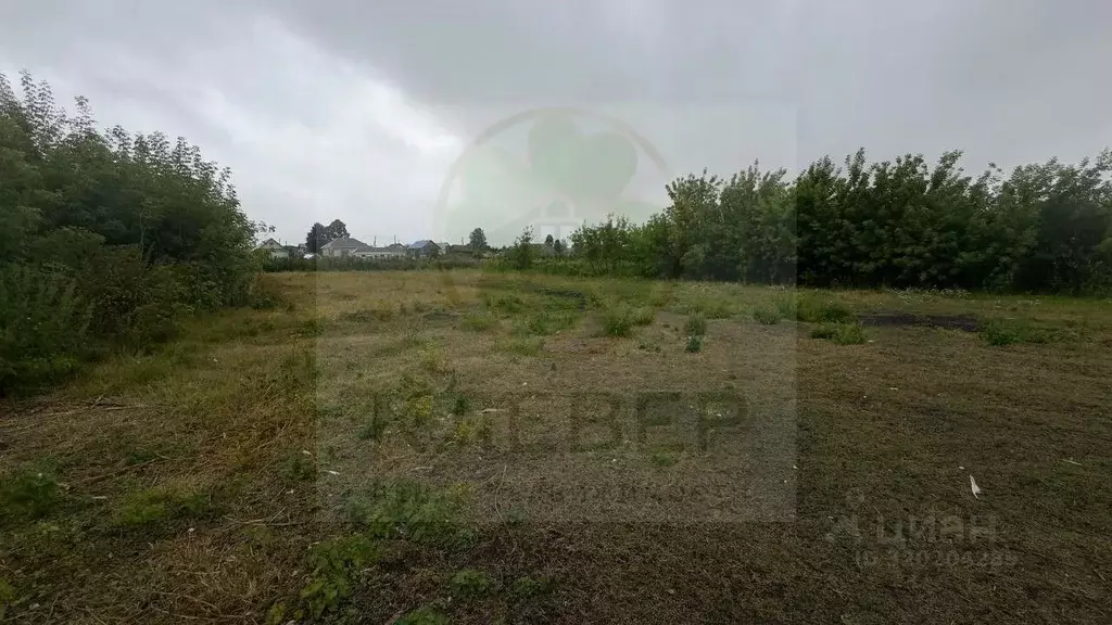 Участок в Башкортостан, Кушнаренковский район, Старокурмашевский ... - Фото 2