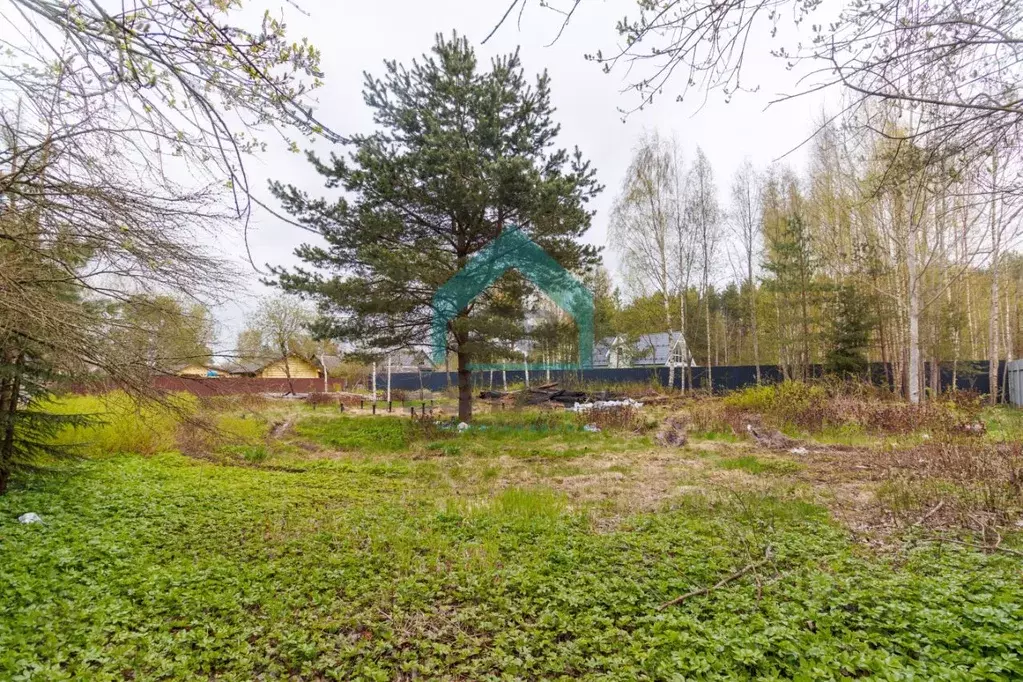 Участок в Ленинградская область, Гатчинский район, Вырица городской ... - Фото 1