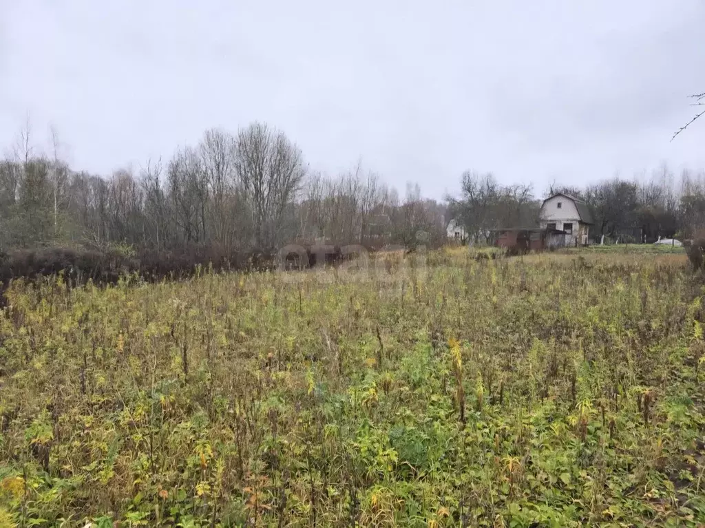 Участок в Брянская область, Брянский район, Снежское с/пос, с. ... - Фото 2