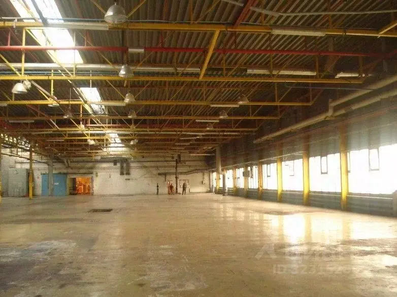 Производственное помещение в Санкт-Петербург Мебельная ул., 5 (3966 м) - Фото 1