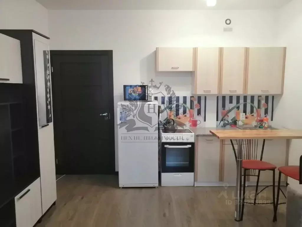 Студия Санкт-Петербург Кондратьевский просп., 68к4 (30.0 м) - Фото 1