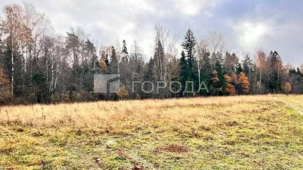 Участок в Московская область, Истра городской округ, д. Подпорино  ... - Фото 1