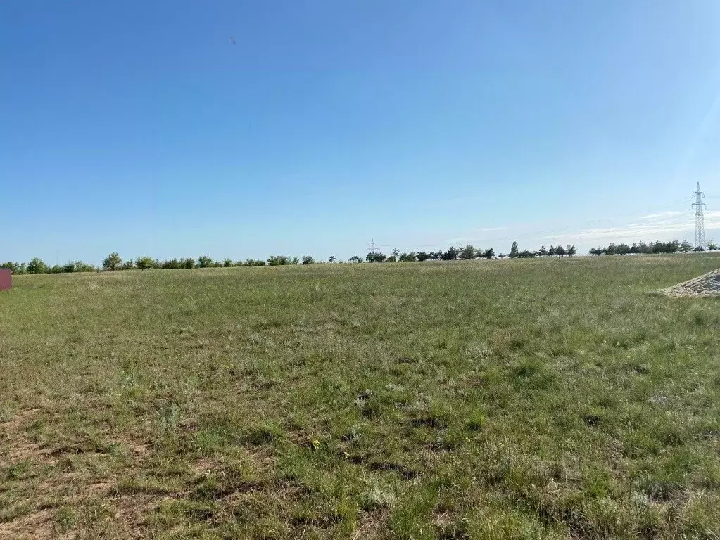 Участок в Волгоградская область, Городищенский район, Царицынское ... - Фото 0
