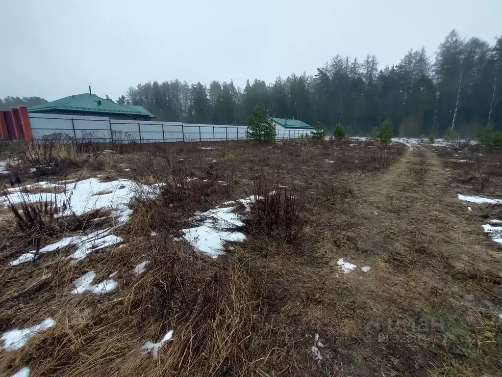 Участок в Московская область, Щелково городской округ, д. Вторая ... - Фото 1