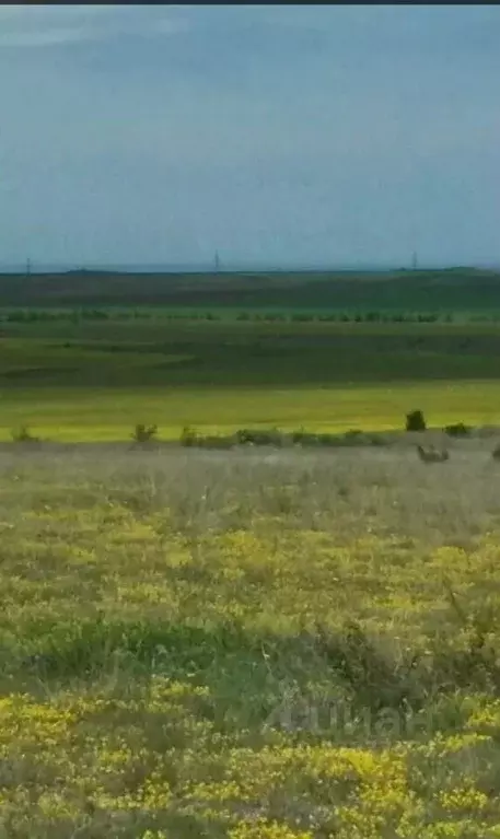 Участок в Крым, Бахчисарайский район, Каштановское с/пос, Крымские ... - Фото 1