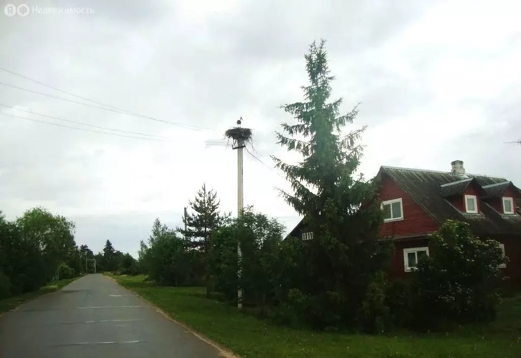 Участок в Волосовский район, Калитинское сельское поселение, деревня ... - Фото 1