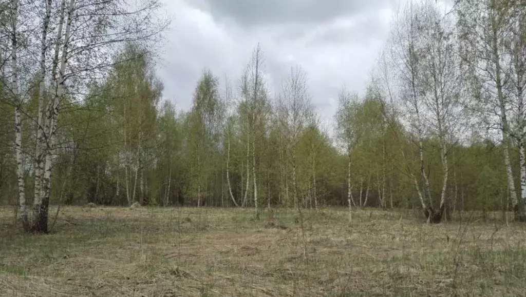 Участок в Московская область, Дмитровский муниципальный округ, д. ... - Фото 0